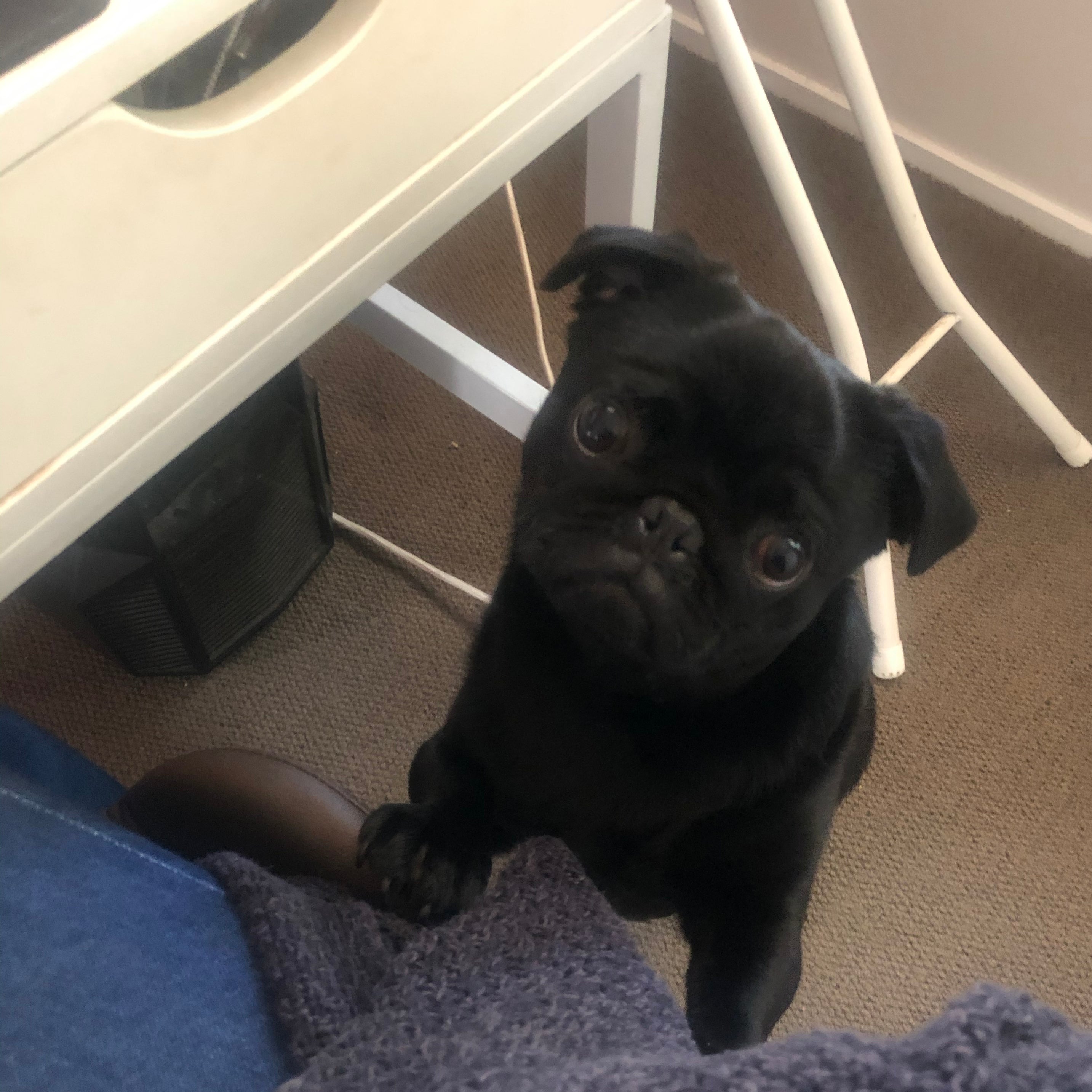 Day 8 -  The only way out is through