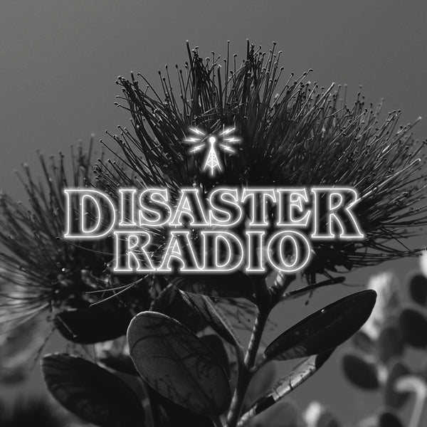 Disaster Radio - Kiwi Summer