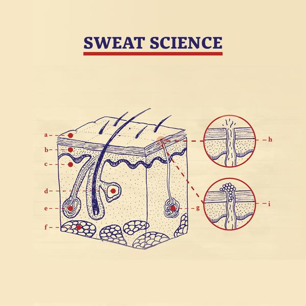The Science of Sweat: Why Does Sweat Smell?